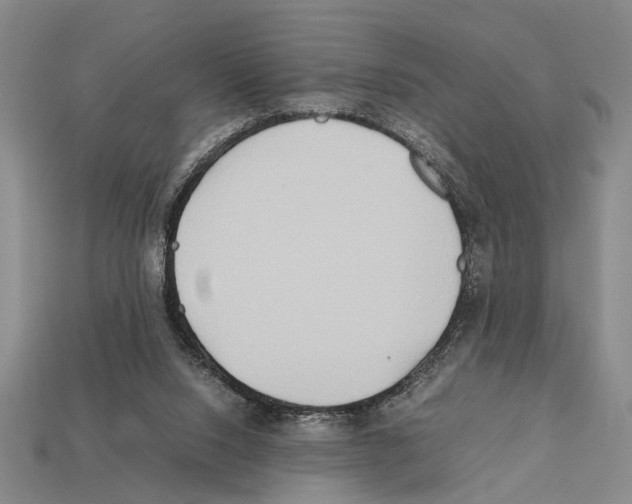 X0000112400064200909251444