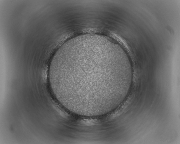 X0000112400065200909251444