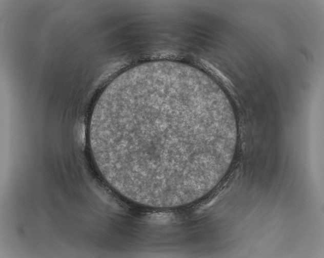 X0000112400067200909251444
