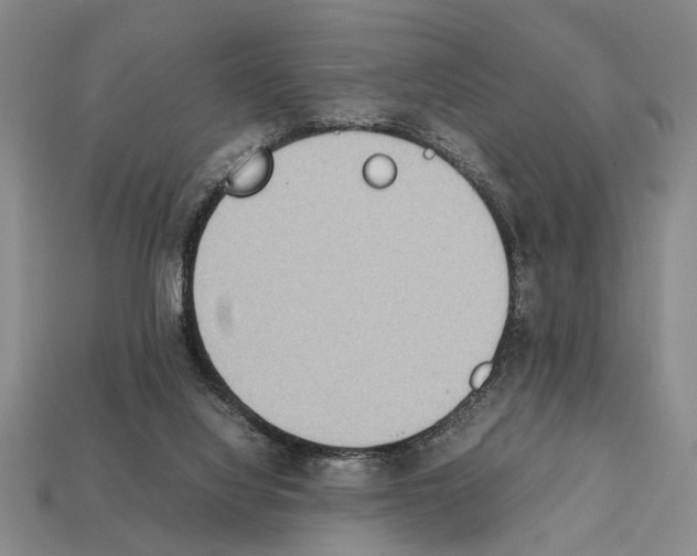 X0000112400068200909251444