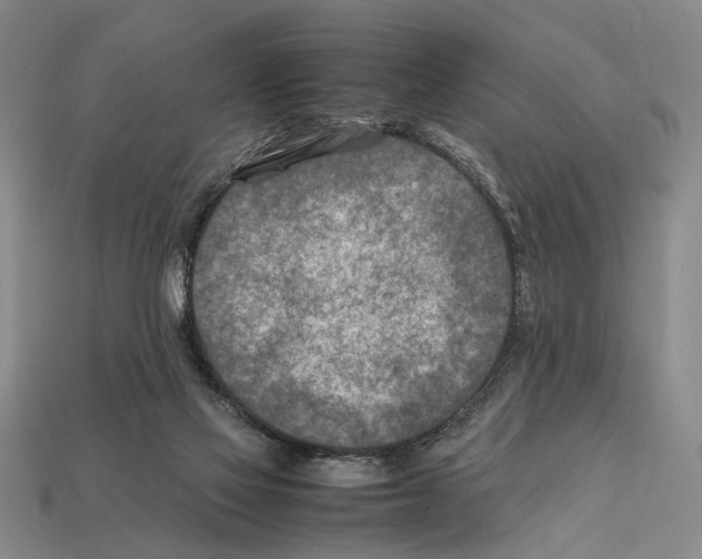 X0000112400069200909251444