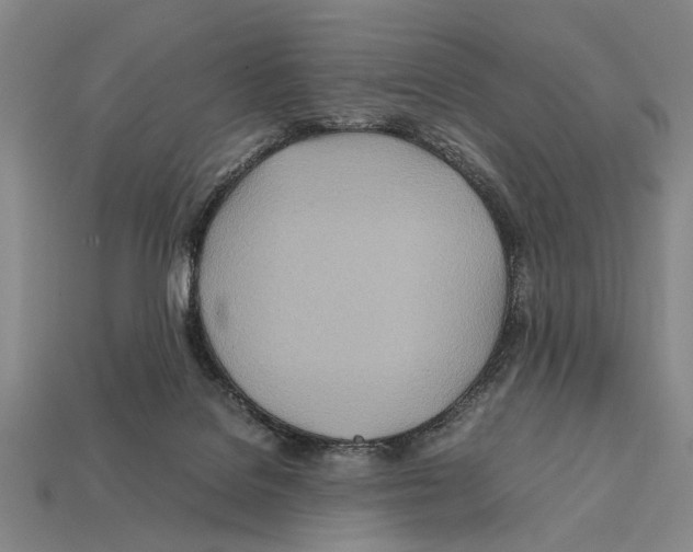X0000112400076200909251444