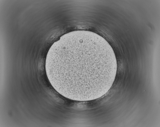 X0000112400078200909251444