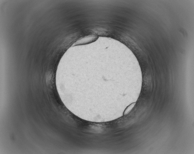 X0000112400079200909251444