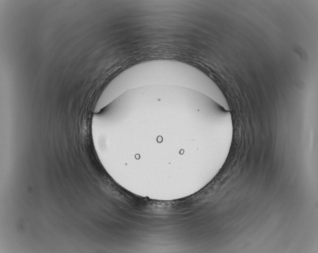 X0000112400084200909251444