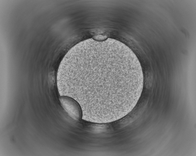 X0000112400085200909251444
