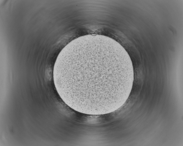 X0000112400090200909251444