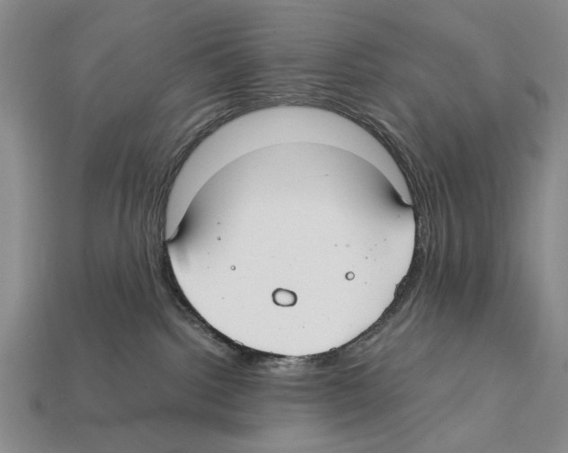 X0000112400092200909251444