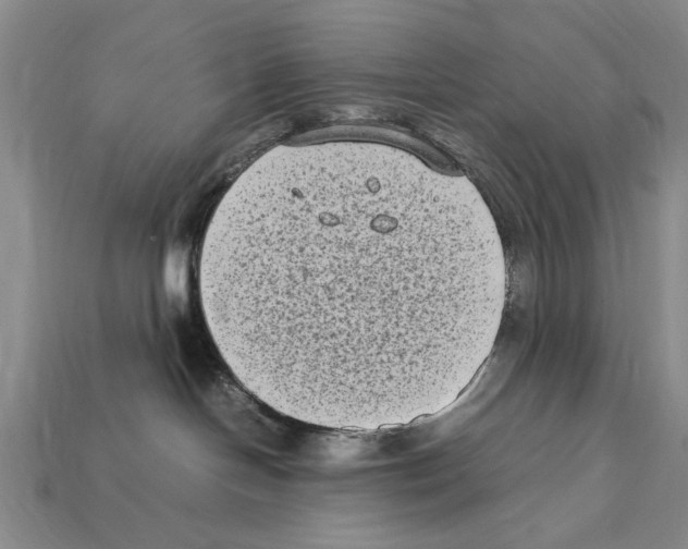 X0000112400094200909251444