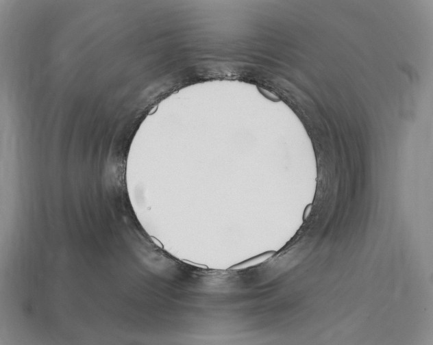 X0000112400096200909251444