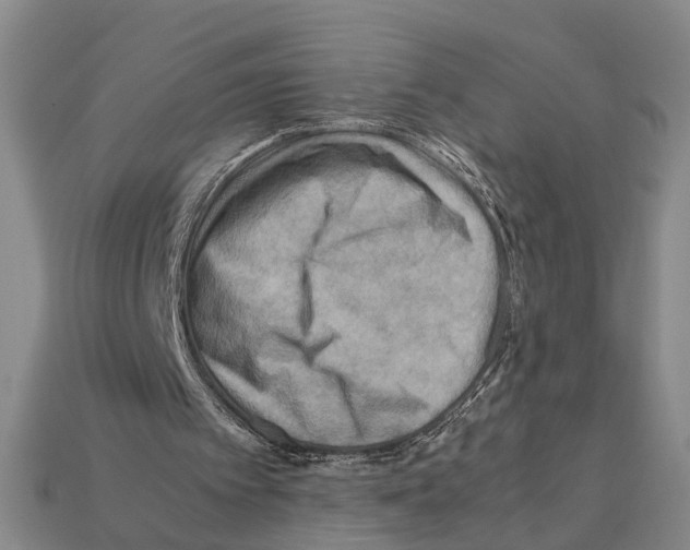 X0000112400097200909251444