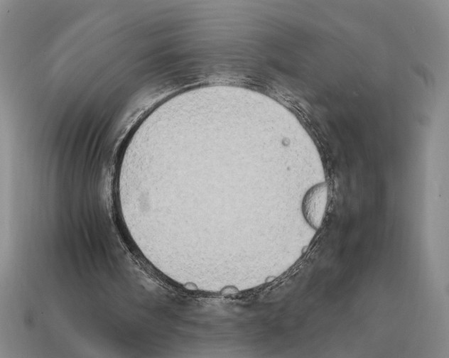 X0000112400098200909251444
