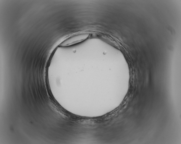 X0000112400100200909251444
