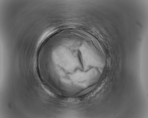 X0000112400101200909251444