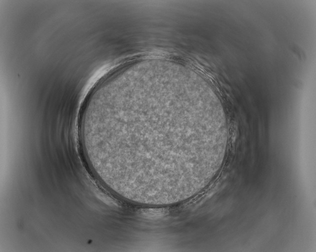X0000112400102200909251444