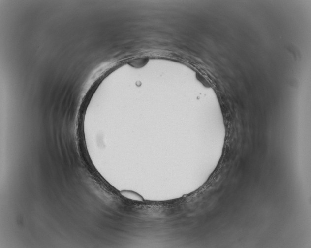 X0000112400104200909251444