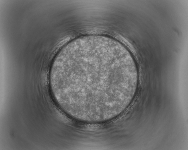 X0000112400105200909251444