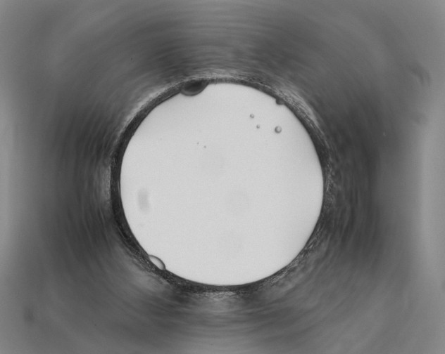 X0000112400108200909251444