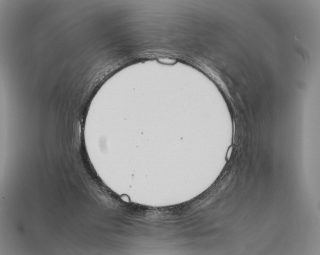 X0000112400109200909251444