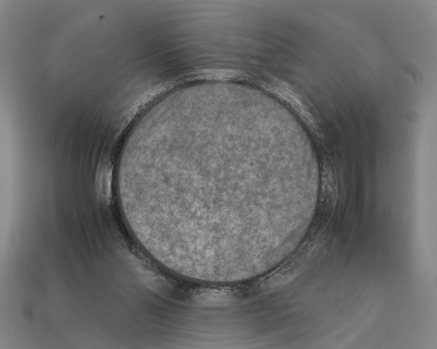 X0000112400110200909251444