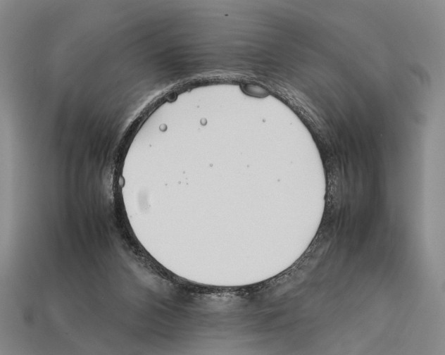 X0000112400112200909251443