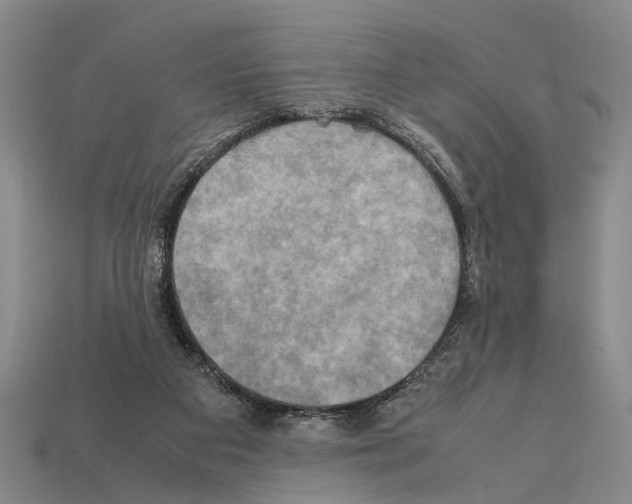 X0000112400113200909251443