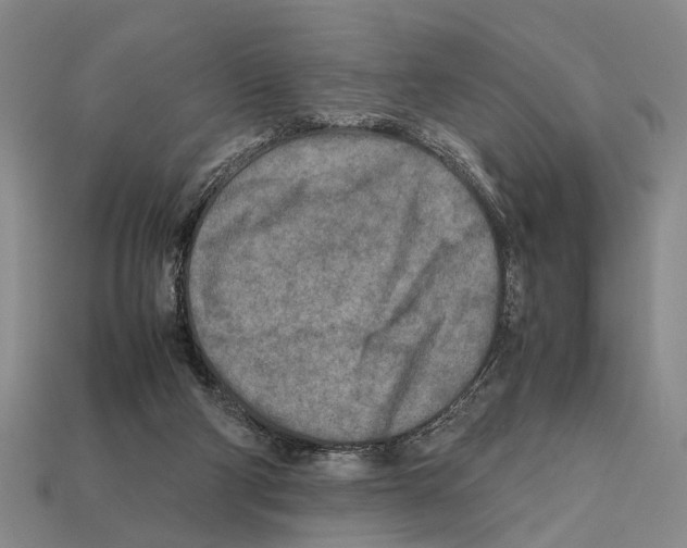 X0000112400114200909251443