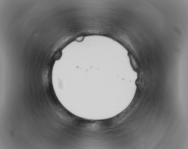 X0000112400116200909251443