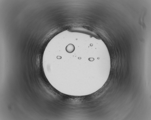 X0000112400120200909251443