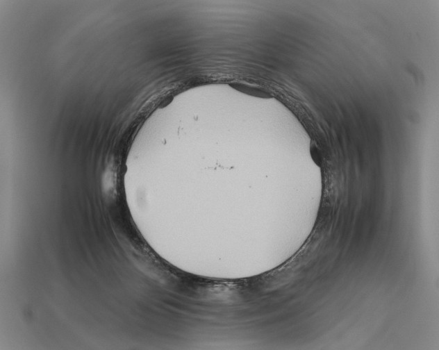 X0000112400124200909251443