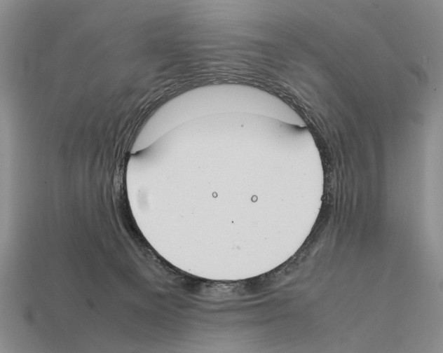 X0000112400129200909251443