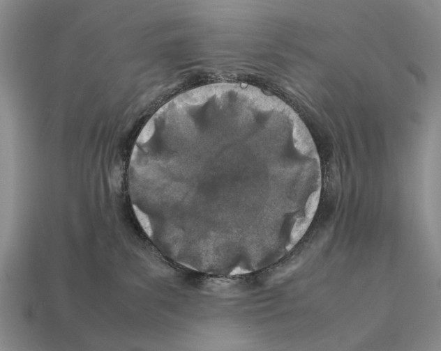 X0000112400139200909251443