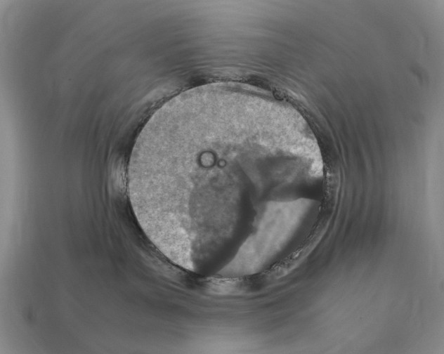 X0000112400143200909251443