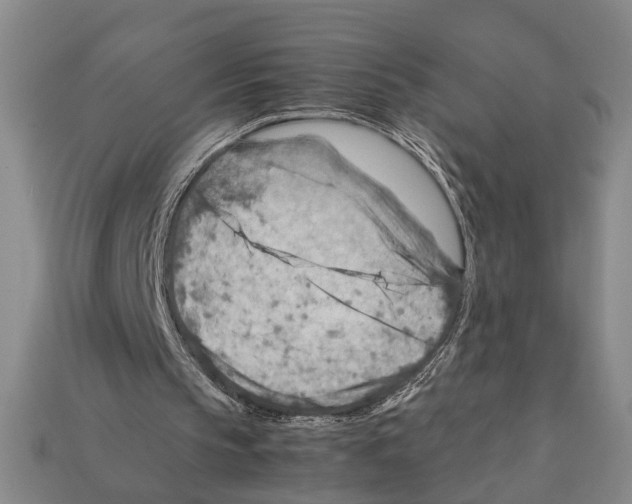 X0000112400145200909251442