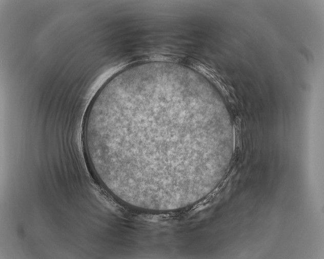 X0000112400147200909251442