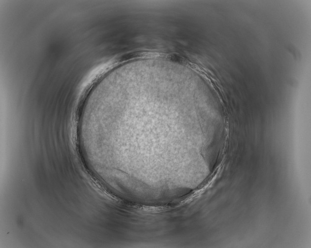 X0000112400149200909251443