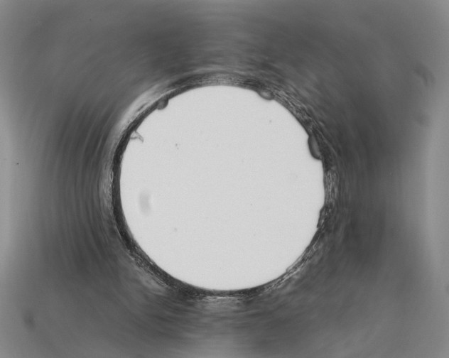 X0000112400150200909251443