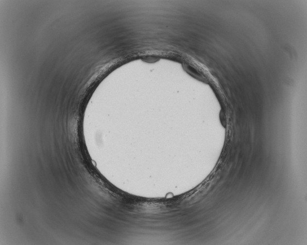 X0000112400154200909251443