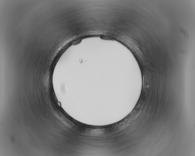 X0000112400156200909251443