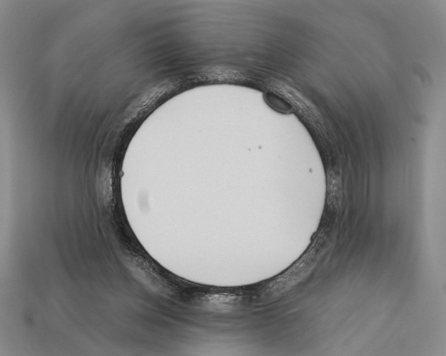 X0000112400158200909251443