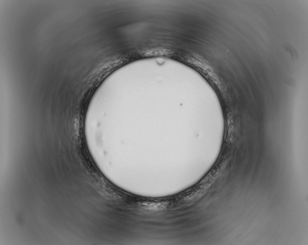 X0000112400161200909251443