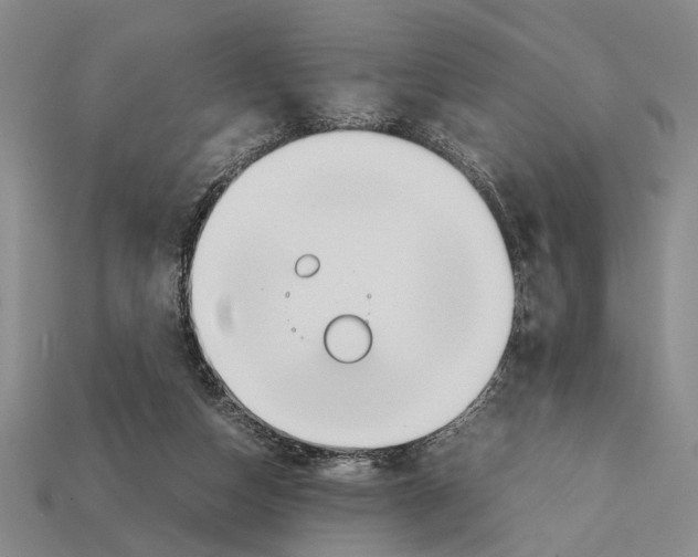 X0000112400162200909251443