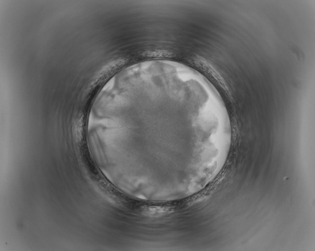 X0000112400163200909251443