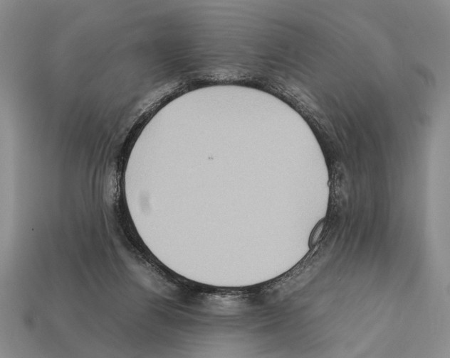 X0000112400164200909251443
