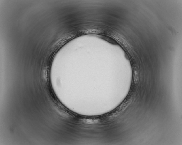 X0000112400165200909251443