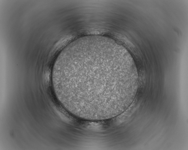 X0000112400166200909251443