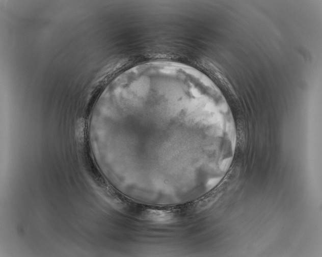 X0000112400167200909251443