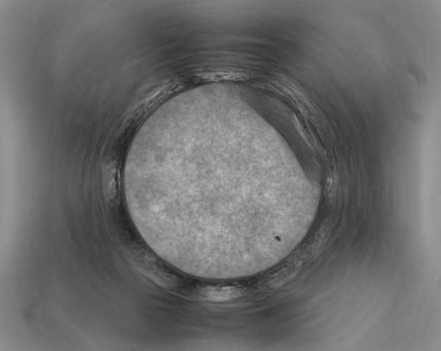 X0000112400169200909251443