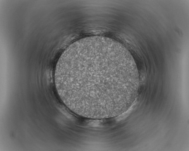 X0000112400182200909251443