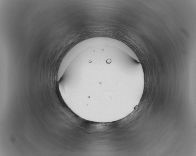 X0000112400184200909251443
